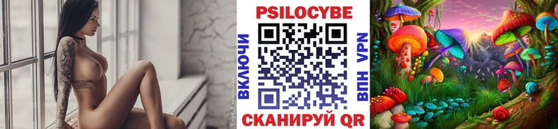 МЕГА зеркало  Лыткарино  Псилоцибиновые грибы мухоморы  купить наркотик 