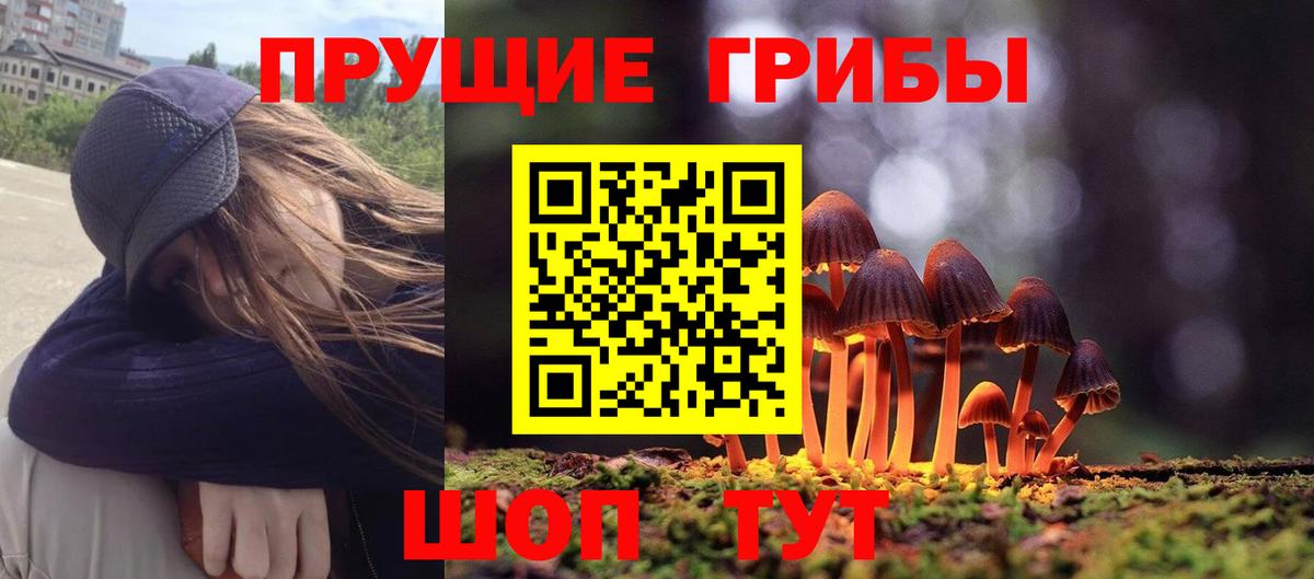 Галлюциногенные грибы GOLDEN TEACHER Лыткарино